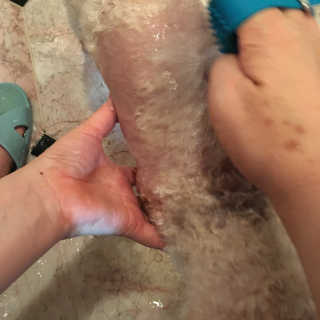 이린님이 올린 리뷰 사진 3
