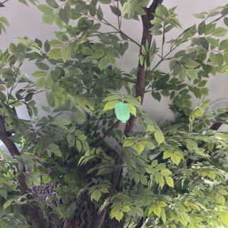 율율님이 올린 리뷰 사진 4