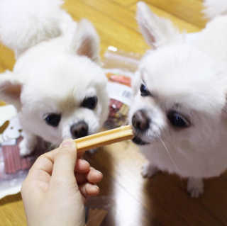 쭈니님이 올린 리뷰 사진 2