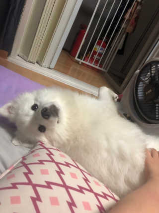 ❤지니❤님이 올린 리뷰 사진 4