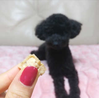 개취 애견간식 닭고기와 아마씨드의 만남 — 4점을 준 리뷰어가 2019년 2월 올린 사용 사진