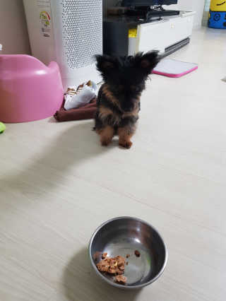 키짝콩쓰님이 올린 리뷰 사진 1