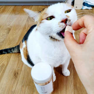 제니언니님이 올린 리뷰 사진 1