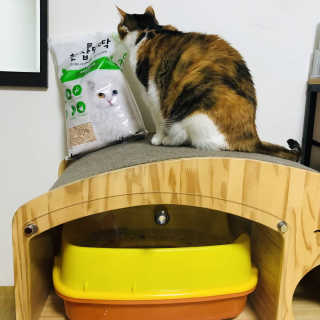 [펫토리아] BEST 고양이두부모래 6L 한삽뚝딱 — 5점을 준 리뷰어가 2019년 1월 올린 사용 사진