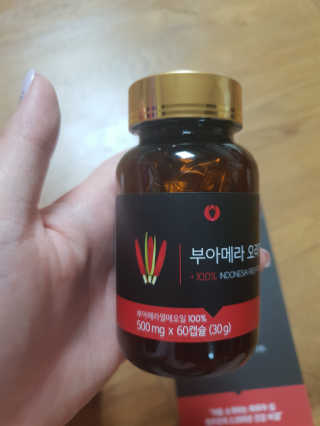 아포텍 부아메라 오리지날 — 4.83점을 준 리뷰어가 2018년 6월 올린 사용 사진