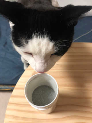 됴이님이 올린 리뷰 사진 2