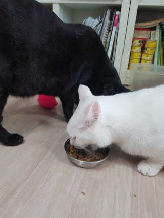 적구님이 올린 리뷰 사진 1