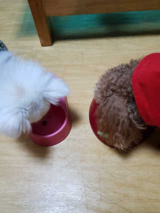 밍크찡님이 올린 리뷰 사진 3