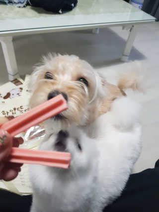 김민아님이 올린 리뷰 사진 3