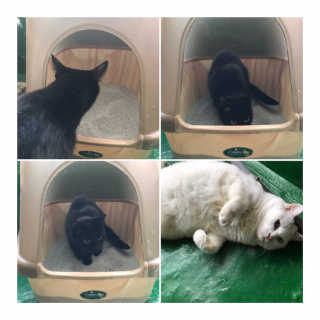 vmintv님이 올린 리뷰 사진 1