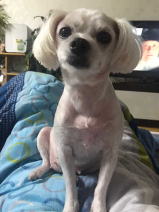 tmej94님이 올린 리뷰 사진 1