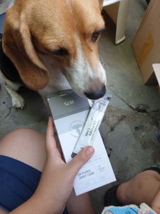 beaglelove님이 올린 리뷰 사진 2