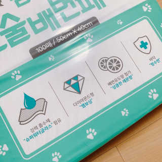 페츠모아 냄새잡는 요술배변패드 — 5점을 준 리뷰어가 2020년 3월 올린 사용 사진