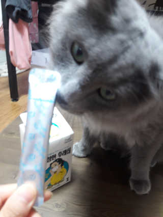 빵희님이 올린 리뷰 사진 3