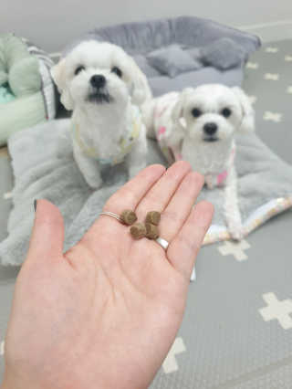 뽀야님이 올린 리뷰 사진 2
