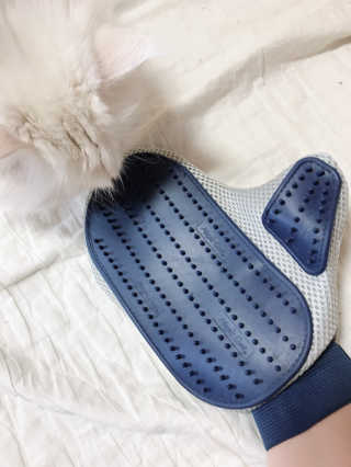 김화안님이 올린 리뷰 사진 2