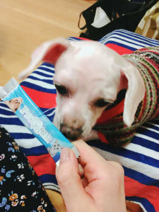쮸동비님이 올린 리뷰 사진 4