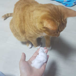 박태은님이 올린 리뷰 사진 3