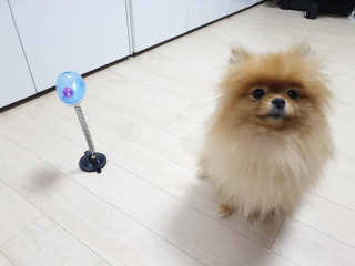 란아님이 올린 리뷰 사진 1