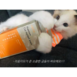 라움이님이 올린 리뷰 사진 3