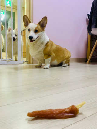 라효님이 올린 리뷰 사진 3