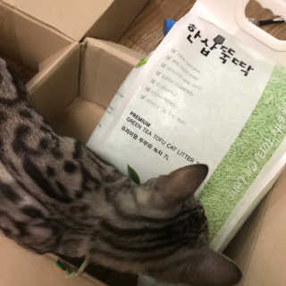 김지혜님이 올린 리뷰 사진 1