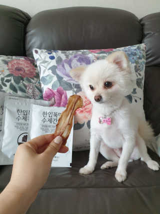[펫토리아] 한입뚝딱 강아지 수제간식 BEST 5종 — 4.5점을 준 리뷰어가 2019년 2월 올린 사용 사진