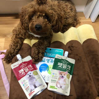 [빙그레] 에버그로 생유산균 1봉（10포입）+펫밀크2팩 — 5점을 준 리뷰어가 2019년 3월 올린 사용 사진