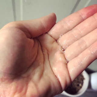 코에나샴푸 500ml — 4.5점을 준 리뷰어가 2019년 8월 올린 사용 사진