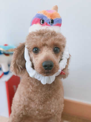 허아리님이 올린 리뷰 사진 2