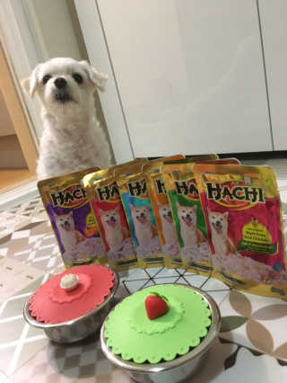 [펫토리아] 토로토로 하치  강아지 파우치간식 — 3.5점을 준 리뷰어가 2019년 7월 올린 사용 사진