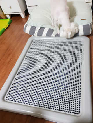 하승님이 올린 리뷰 사진 4