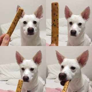 J님이 올린 리뷰 사진 3