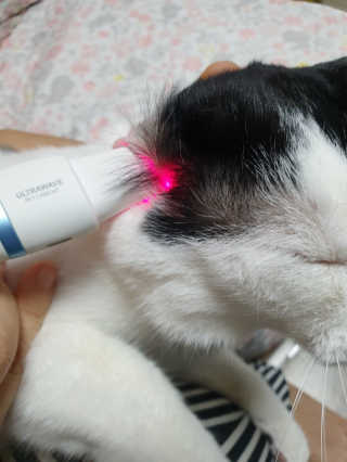 냐냐님이 올린 리뷰 사진 2