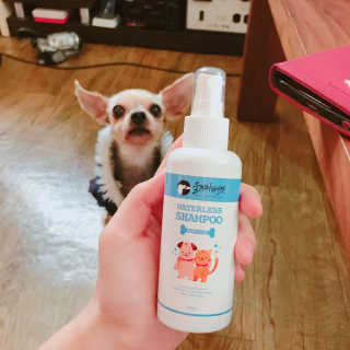 김민정님이 올린 리뷰 사진 2