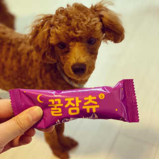 칸쵸님이 올린 리뷰 사진 4