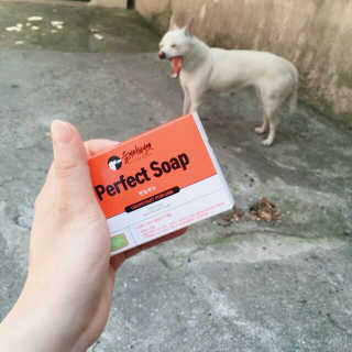 줴몬님이 올린 리뷰 사진 1