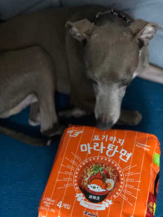[풀무원] 포기하지 마라탕면 — 5점을 준 리뷰어가 2019년 7월 올린 사용 사진