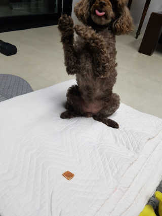 은또니님이 올린 리뷰 사진 4