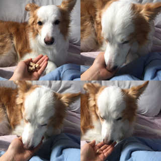 떡볶이죠아님이 올린 리뷰 사진 1