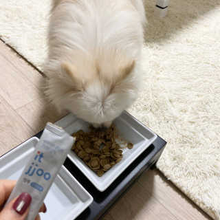 곱주님이 올린 리뷰 사진 2