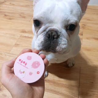불독키우는개엄마❤️님이 올린 리뷰 사진 4