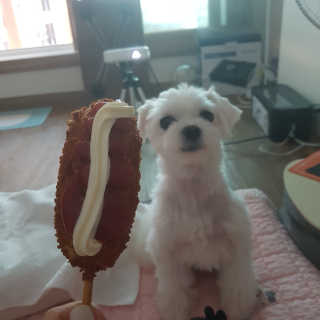 뽀오오옹님이 올린 리뷰 사진 1