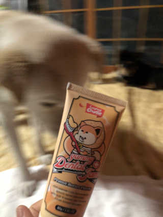 두부누나님이 올린 리뷰 사진 4