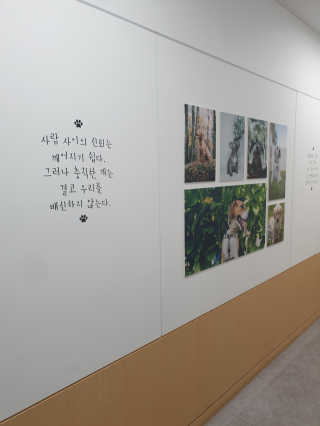 신소영이님이 올린 리뷰 사진 2
