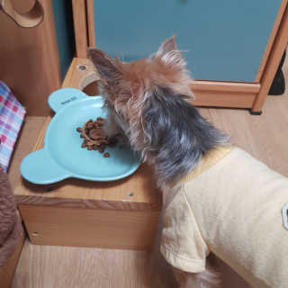 솜희님이 올린 리뷰 사진 3