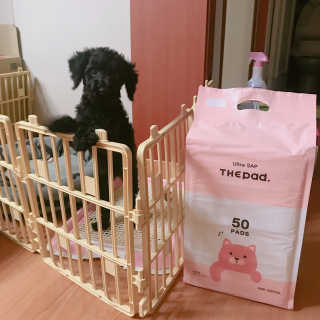 유니유닝님이 올린 리뷰 사진 1
