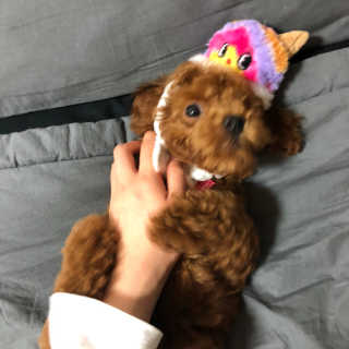 jiyeon3228님이 올린 리뷰 사진 4