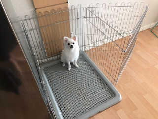 씬님이 올린 리뷰 사진 1