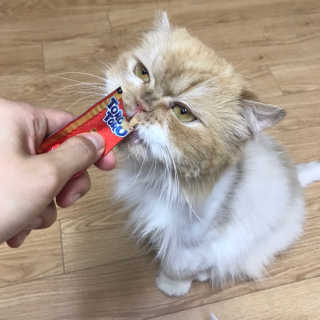 지꾸님이 올린 리뷰 사진 2